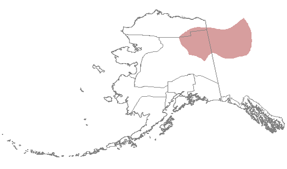 Fairbanks